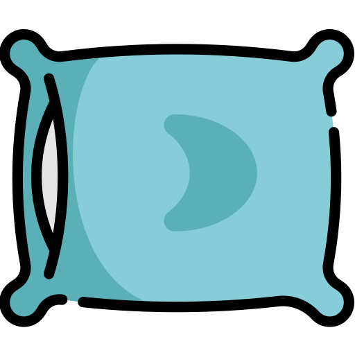 Pillow & Pillow Cover